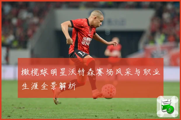 橄榄球明星沃特森赛场风采与职业生涯全景解析