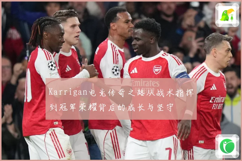 Karrigan电竞传奇之路从战术指挥到冠军荣耀背后的成长与坚守